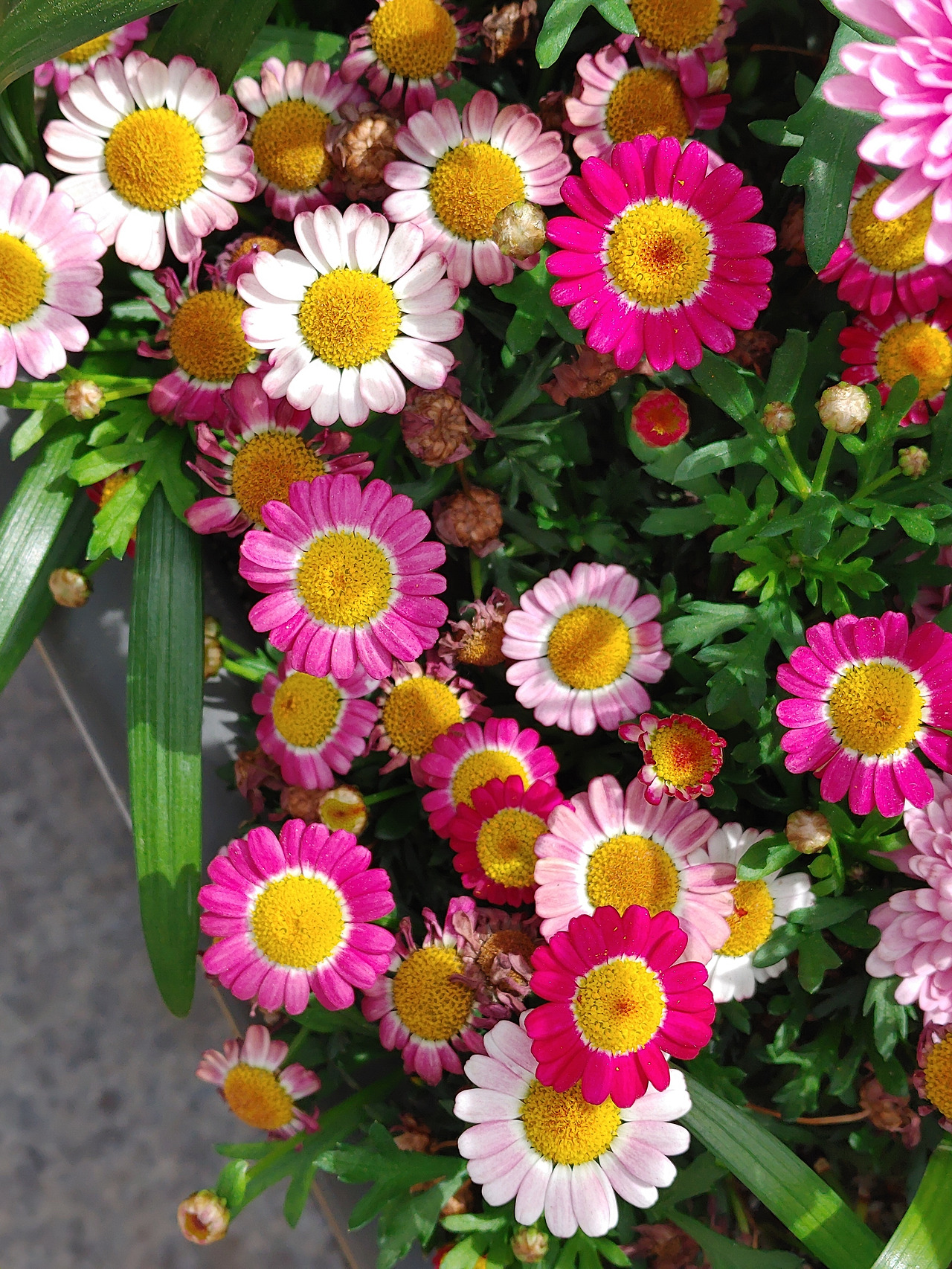 샘플 이미지_20200514_100903.jpg