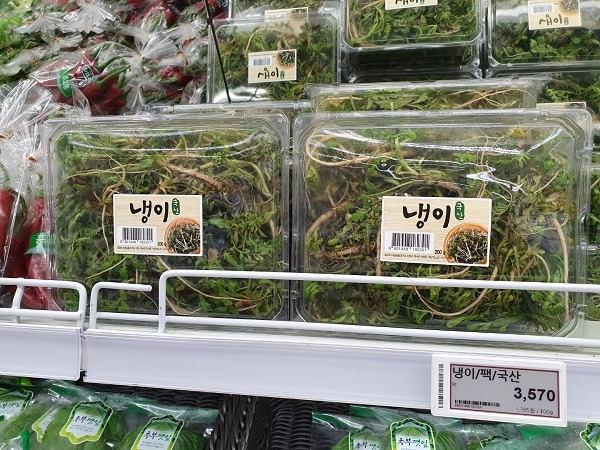 냉이 판매.jpg
