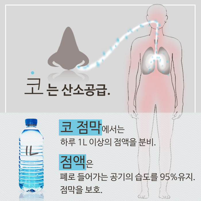 비염2.jpg