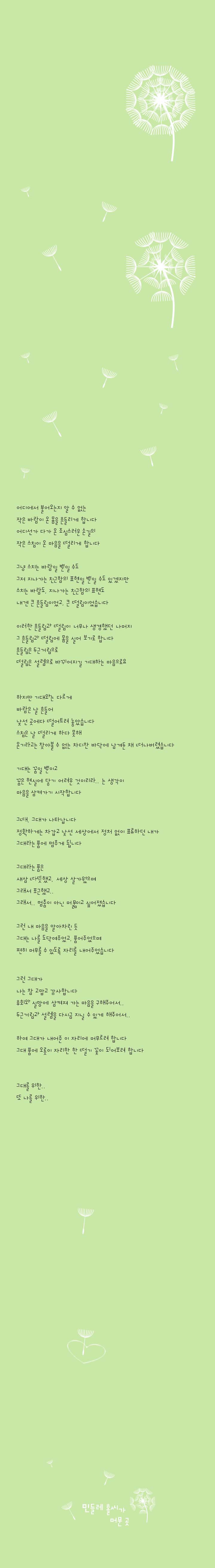 212-민들레 홀씨가 머문 곳.jpg