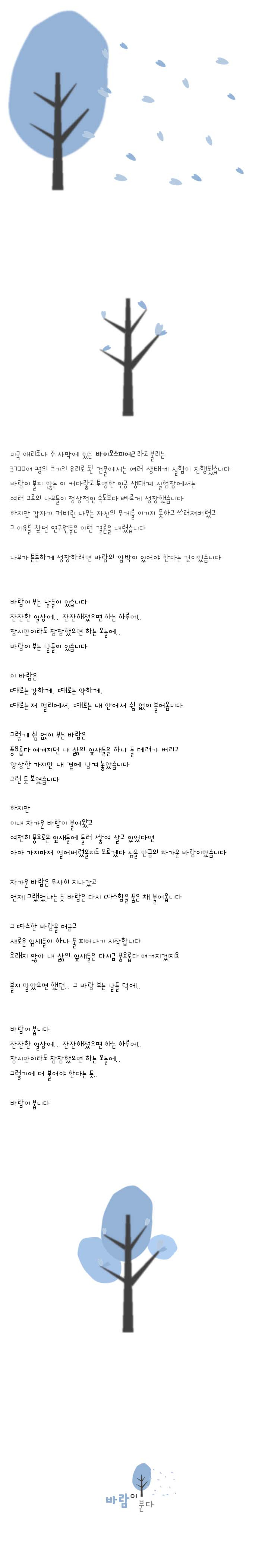 190-바람이 분다.jpg