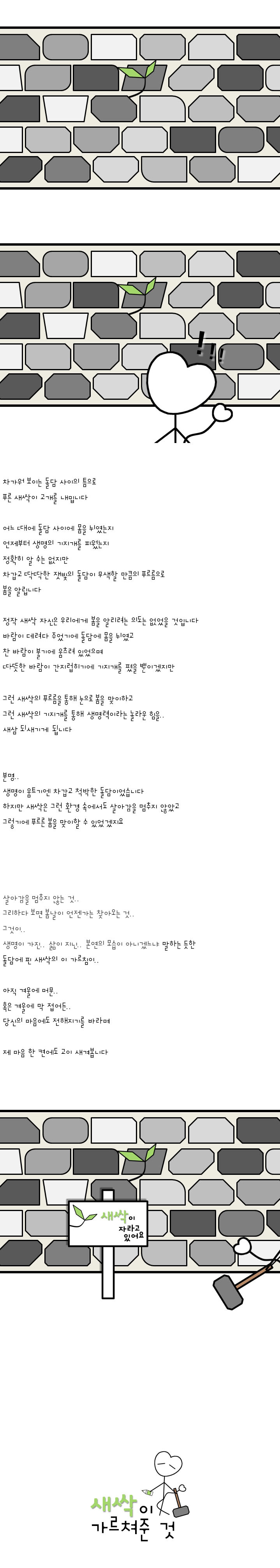 096-새싹이 가르쳐준 것.jpg