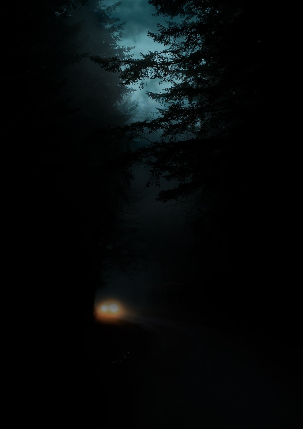 깊은 밤 차량.jpg