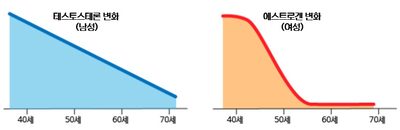 남녀호르몬 변화.jpg