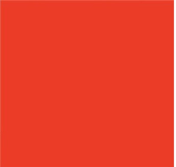 펜톤 체리 토마토.jpg