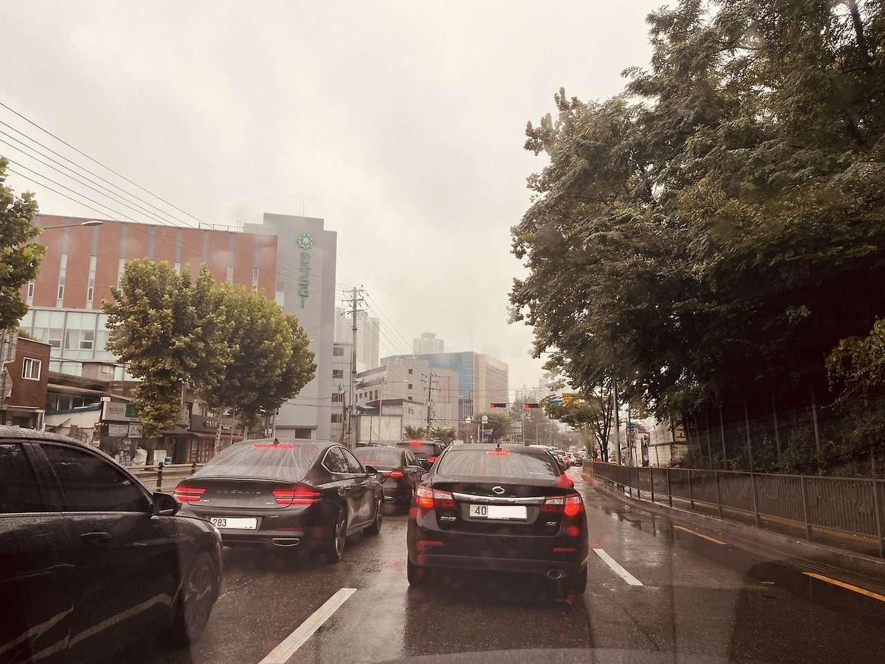 비오는 거리.jpg