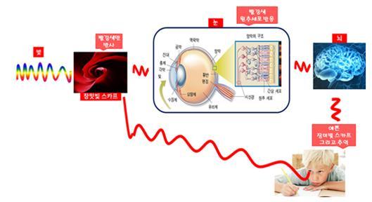 보는가 읽는가.jpg