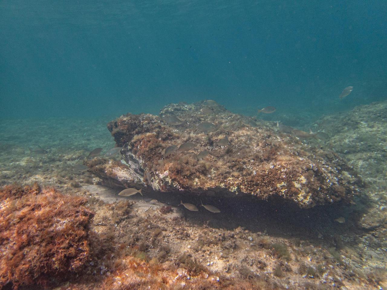 사소한 문제.jpg