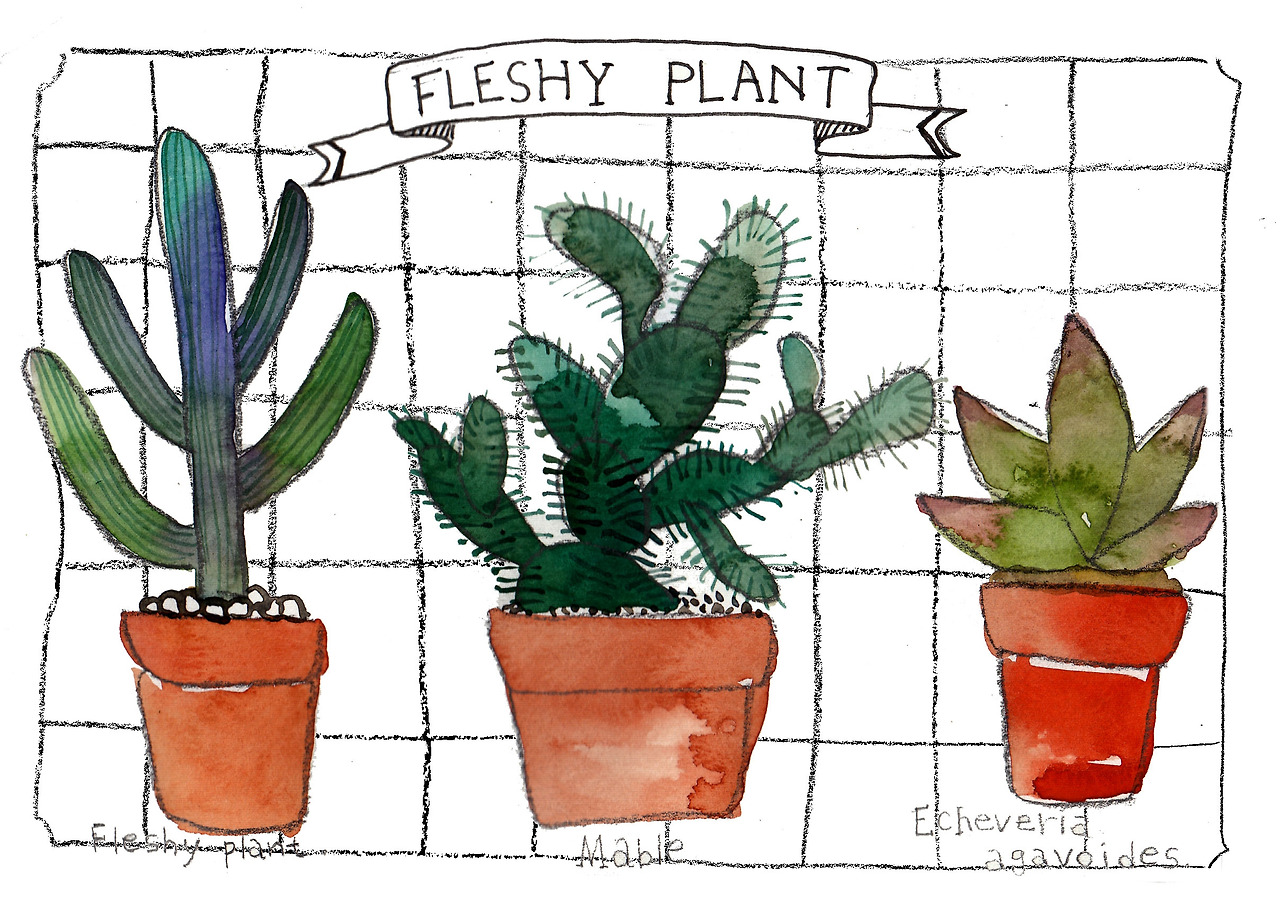 식물과 함께하는 집_1.jpg