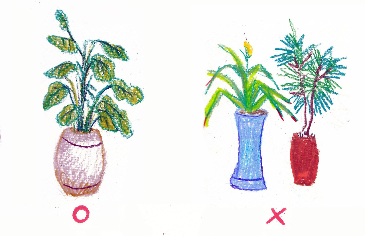 13 집에 좋은 식물 나쁜 식물.jpg