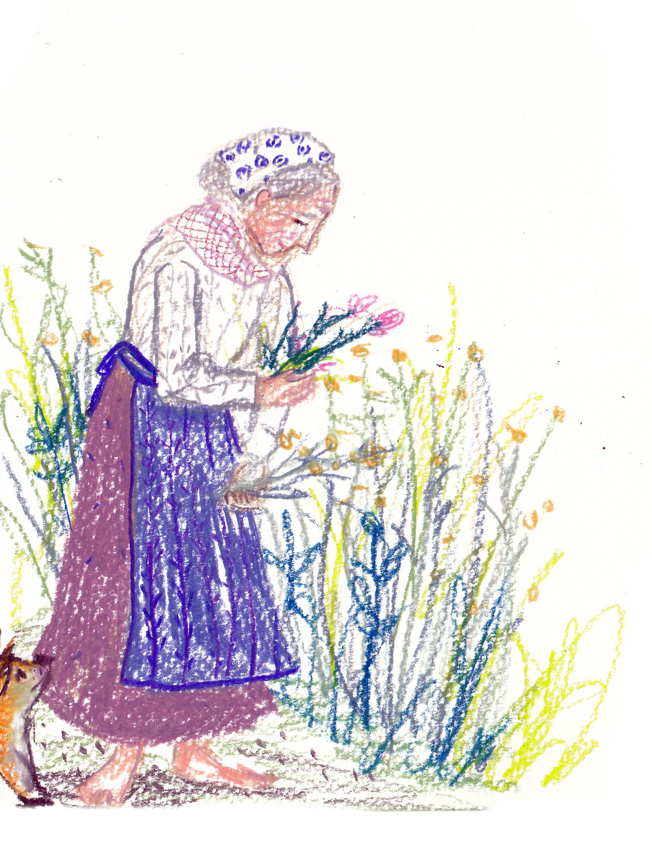 정원의 타샤.jpg