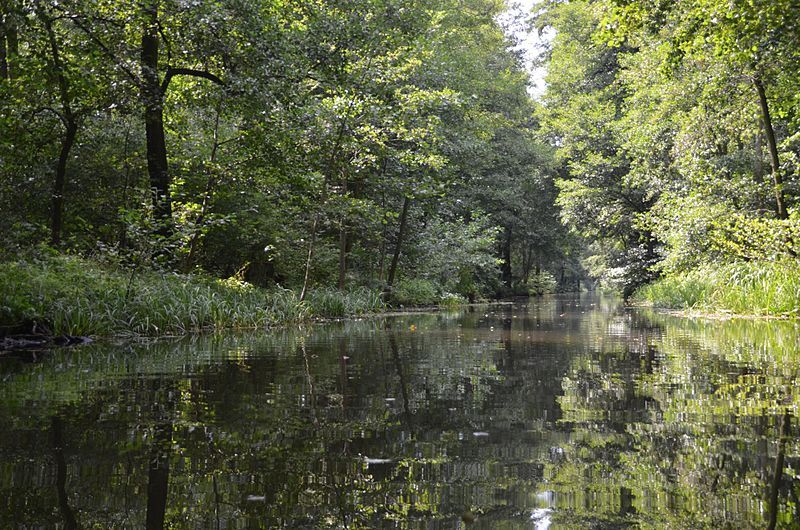 800px-Spreewald_Impressionen_-_Flickr_-_tm-md_(113)[1].jpg