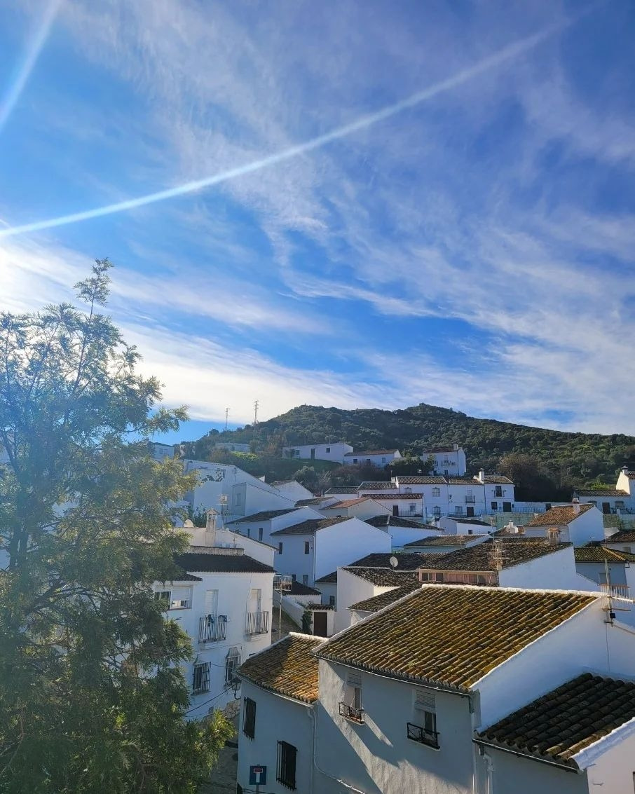 IMG_20230115_190218_204 (1).jpg