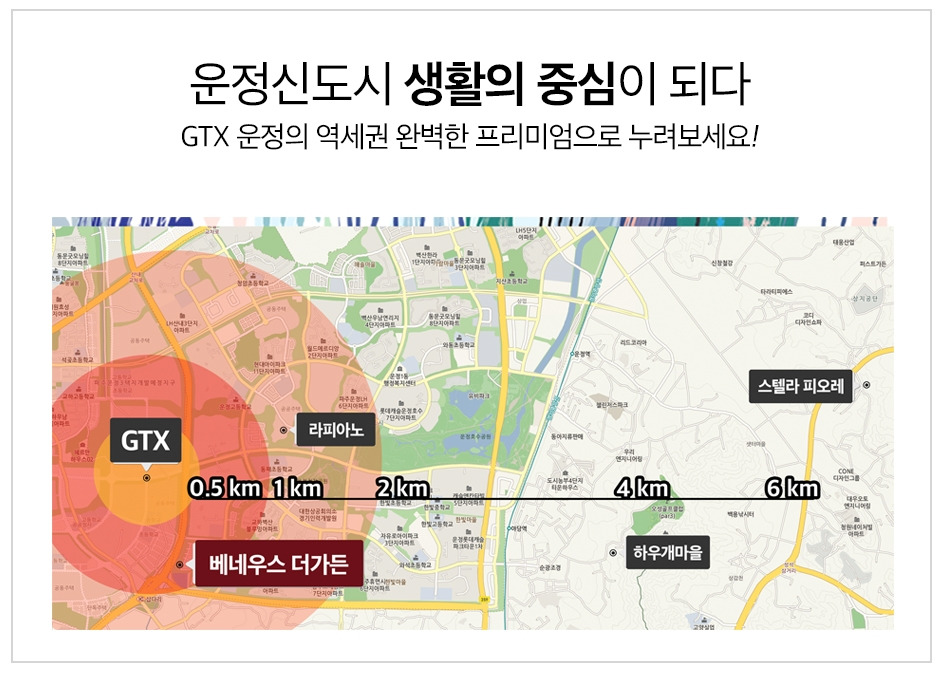 베네우스 바이럴 디자인 2.jpg