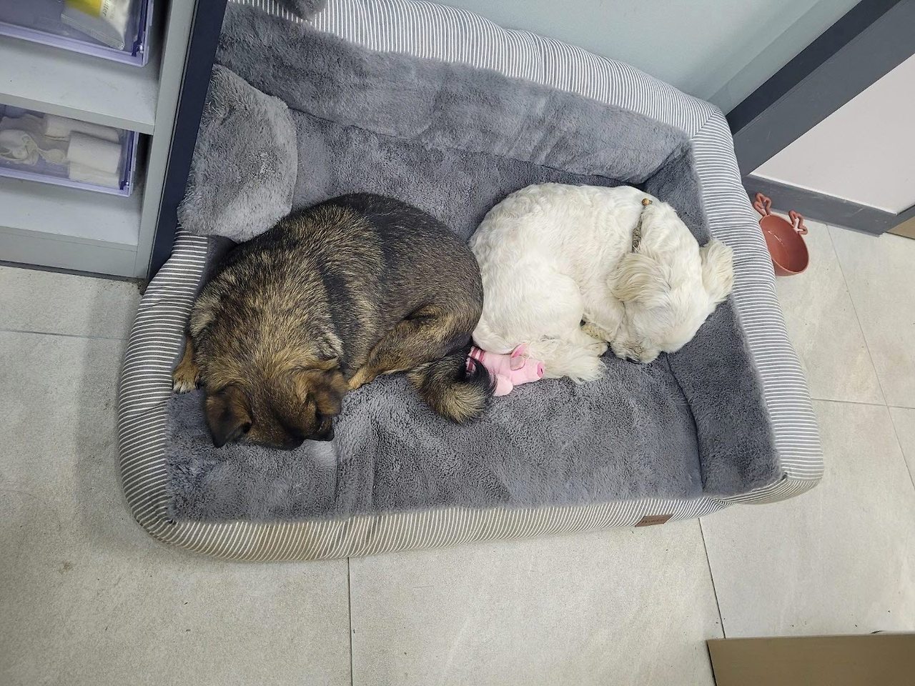 사본 -KakaoTalk_20221112_143916070.jpg