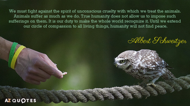 Quotation-Albert-Schweitzer-We-must-fight-against-the-spirit-of-unconscious-cruelty-with-43-78-20.jpg