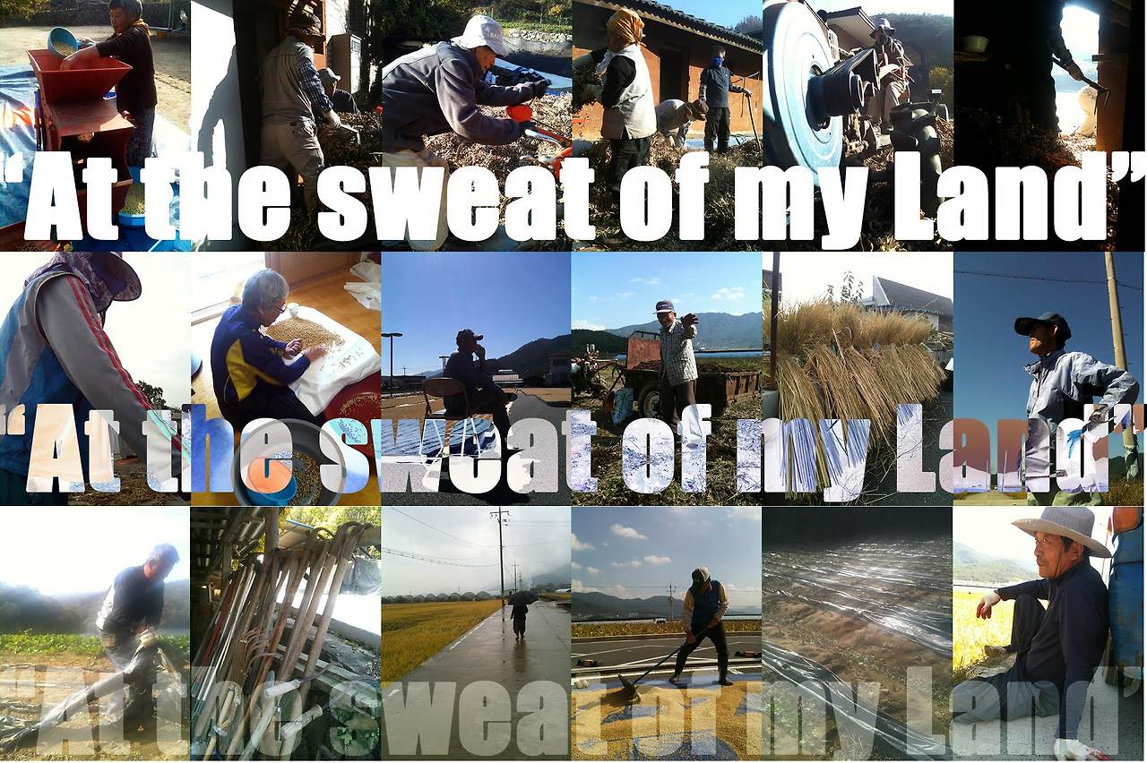 내 땅의 땀으로부터.jpg