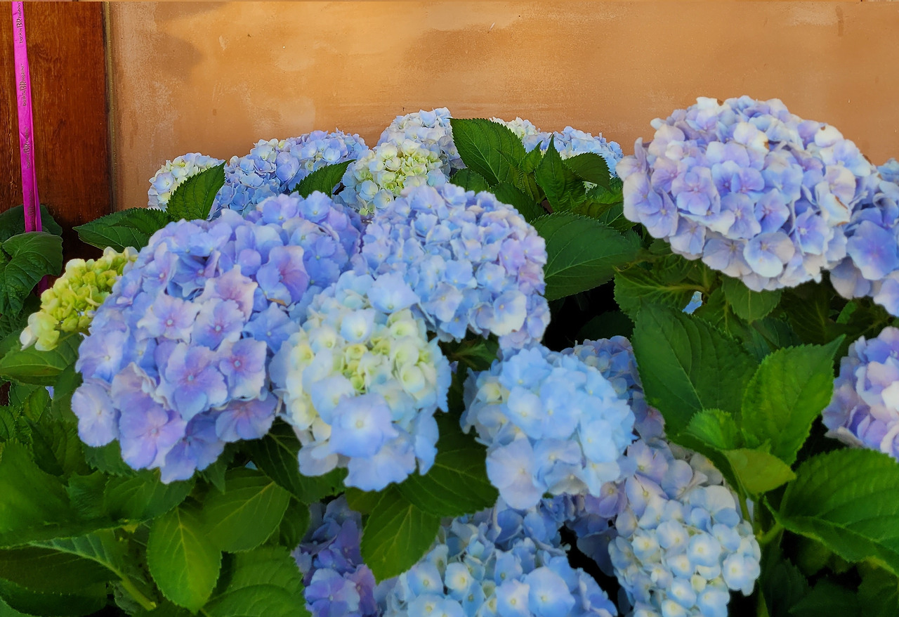 공주풍경 (3).jpg