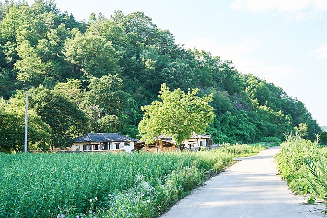 5. 진짜 이런 아름다움이 영화 내내 나와요...jpg