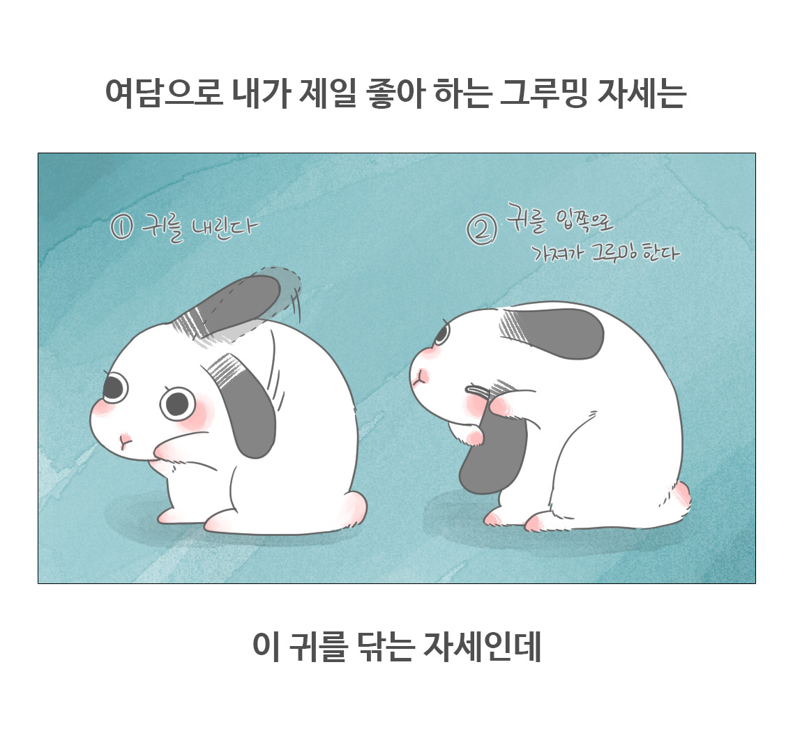 #08-토끼의그루밍2_04.jpg