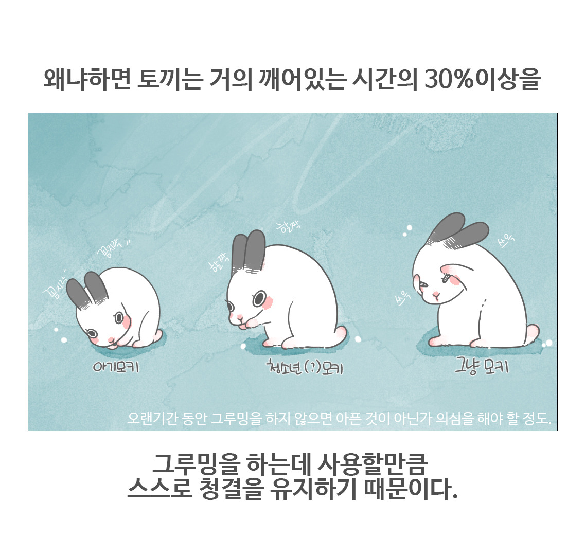 #08-토끼의그루밍_09.jpg