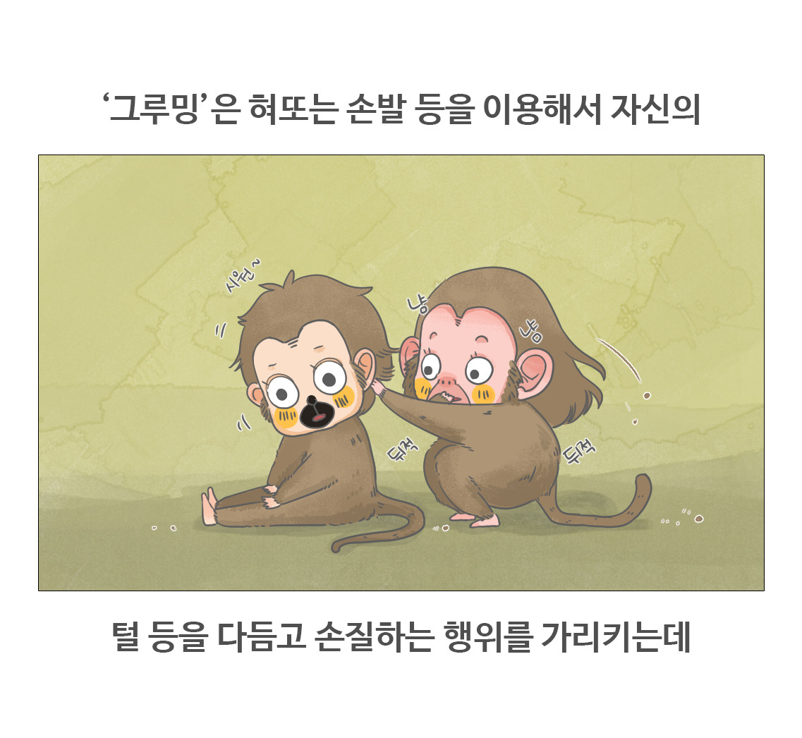 #08-토끼의그루밍_03.jpg