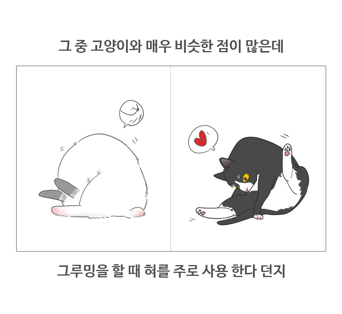 #08-토끼의그루밍_05.jpg