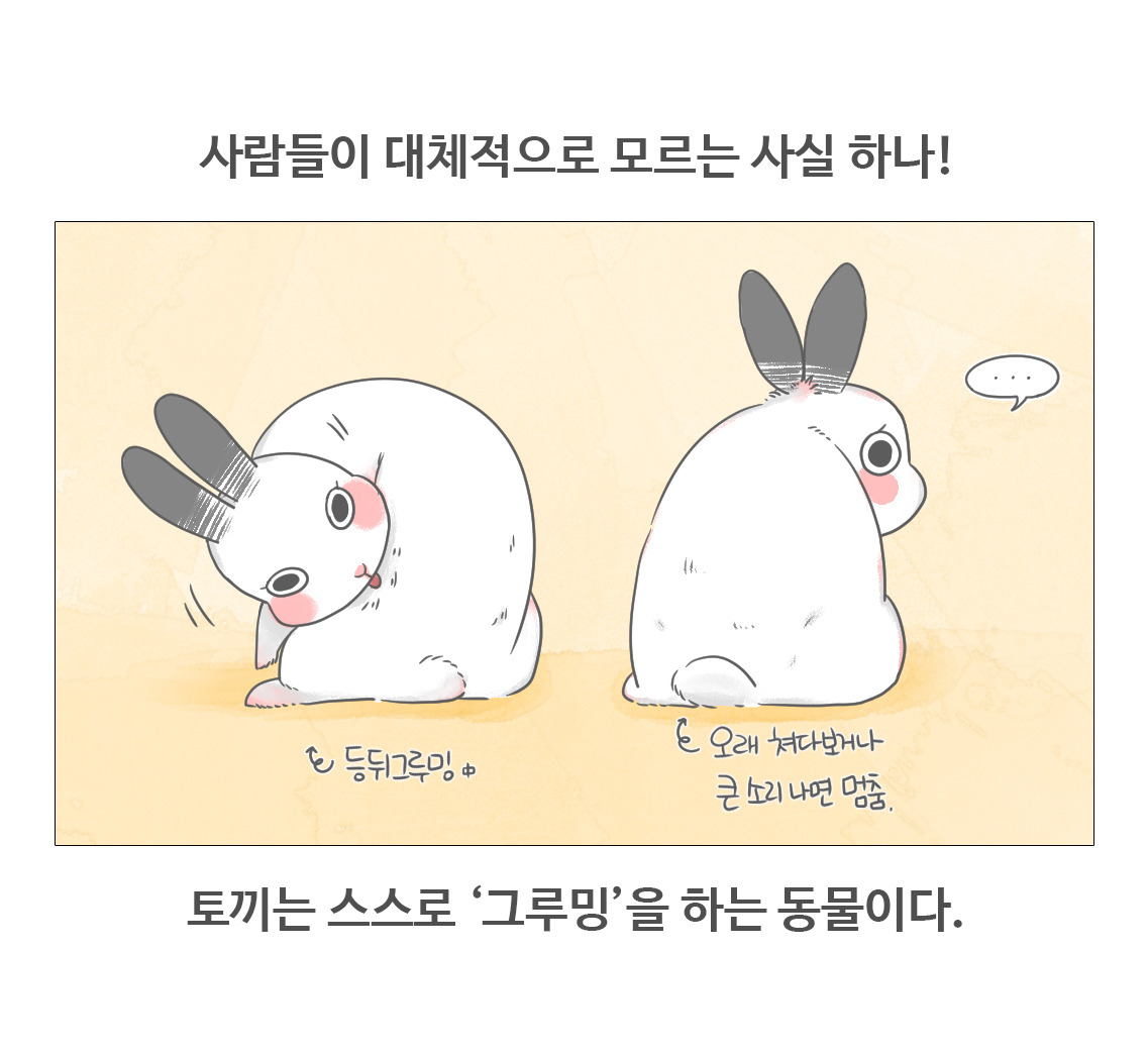 #08-토끼의그루밍_02.jpg