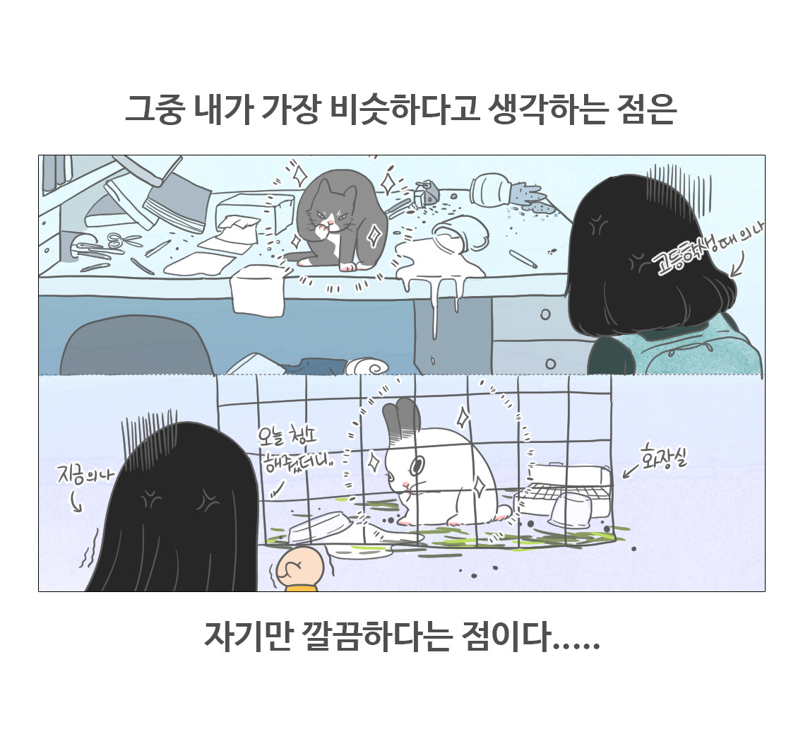 #08-토끼의그루밍_07.jpg