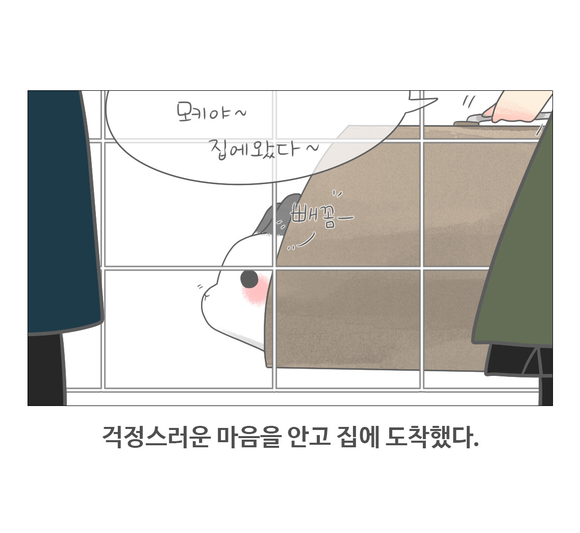 #07-동물병원을가다(하)2_05.jpg