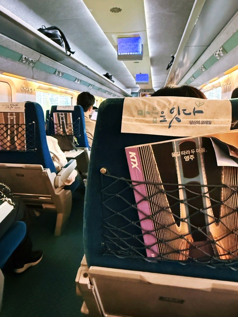 무료 카지노 게임
