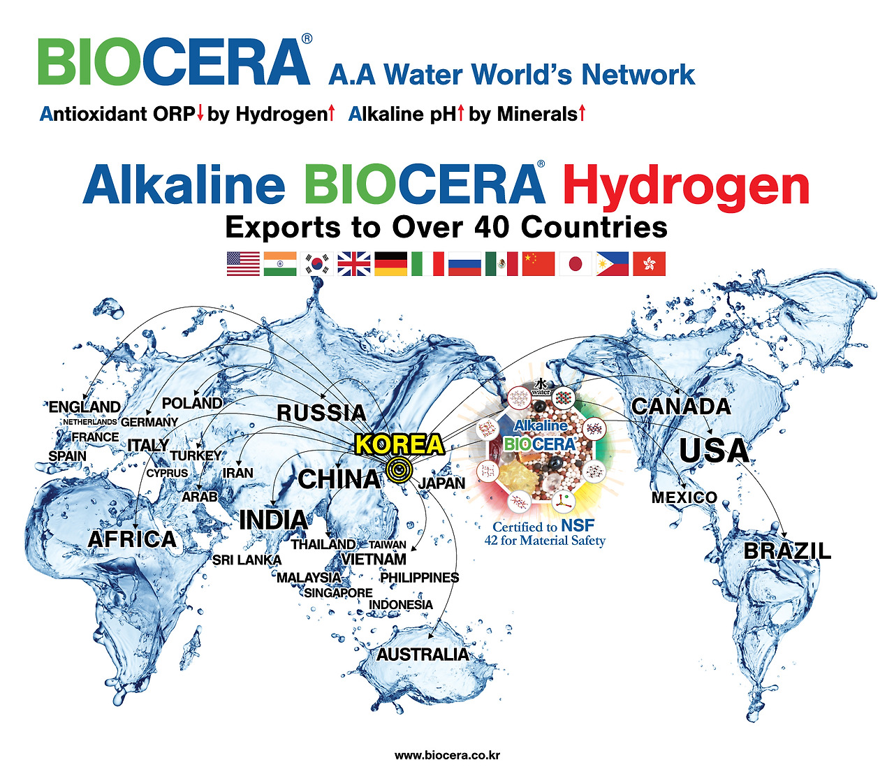 BIOCERA A.A Water World's Network 635x550 mm.jpg