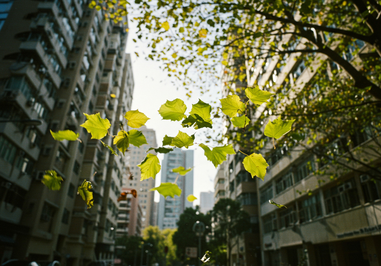 Image_fx - 2025-08-14T110123.106.jpg