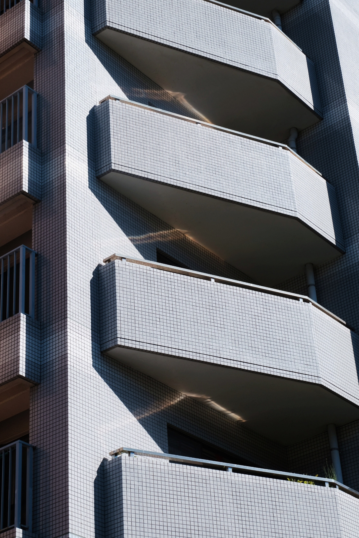 2018-08-15 03.12.47 2.jpg