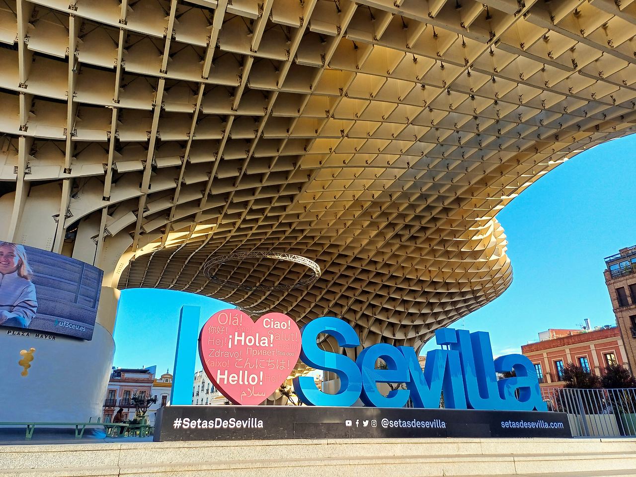 메트로폴 파라솔-1.jpg