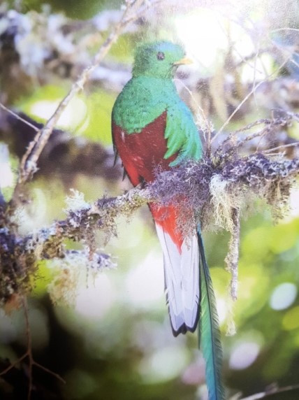 주석 2019-12-15 151657.jpg