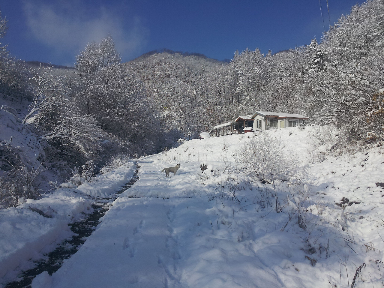 눈천천면집개.jpg