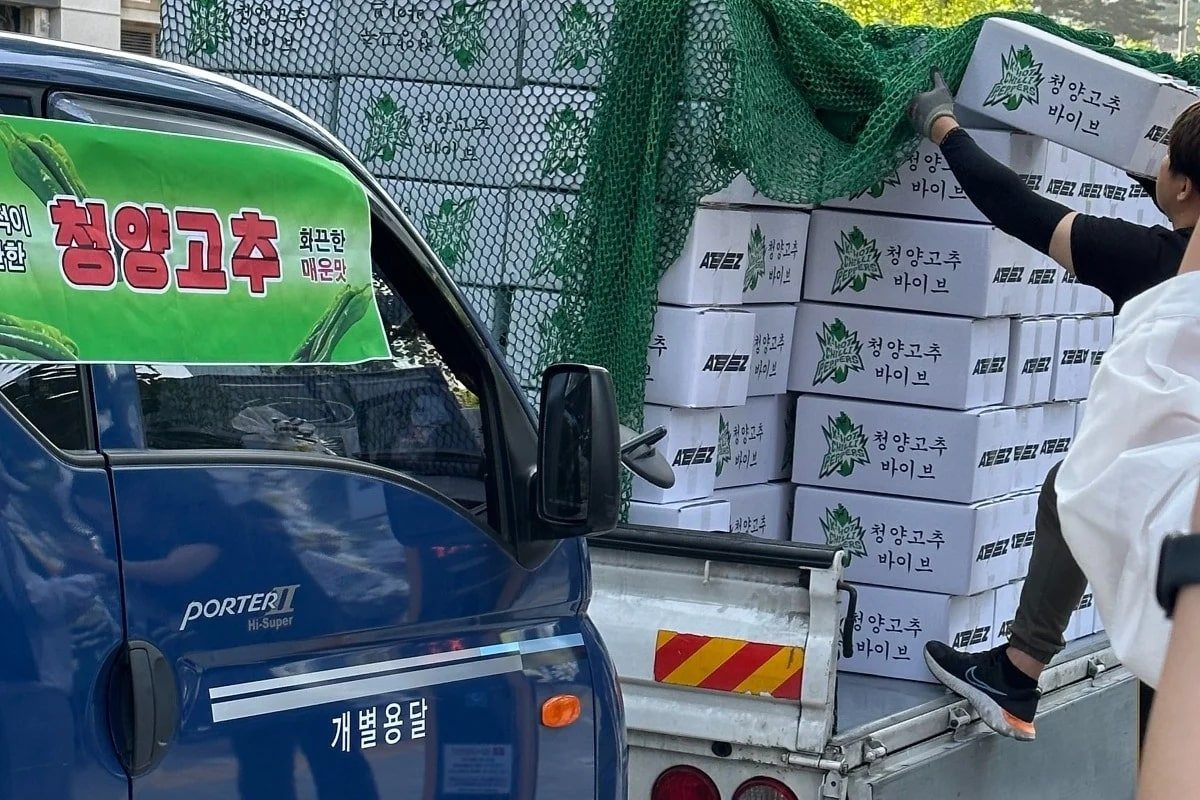 아이돌레_청양고추 2.jpg