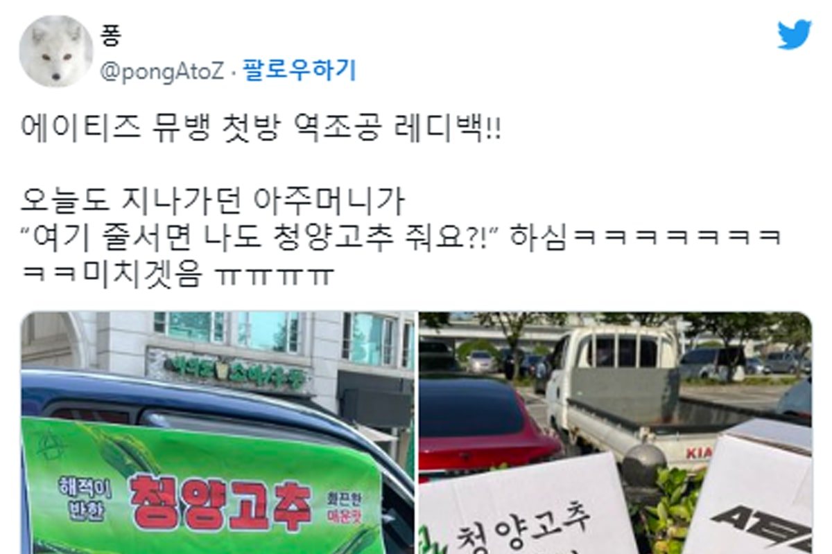 아이돌레_청양고추 3.jpg