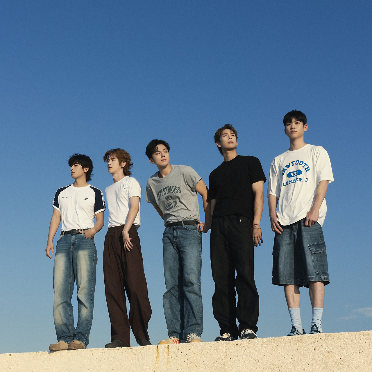 카지노 게임 사이트