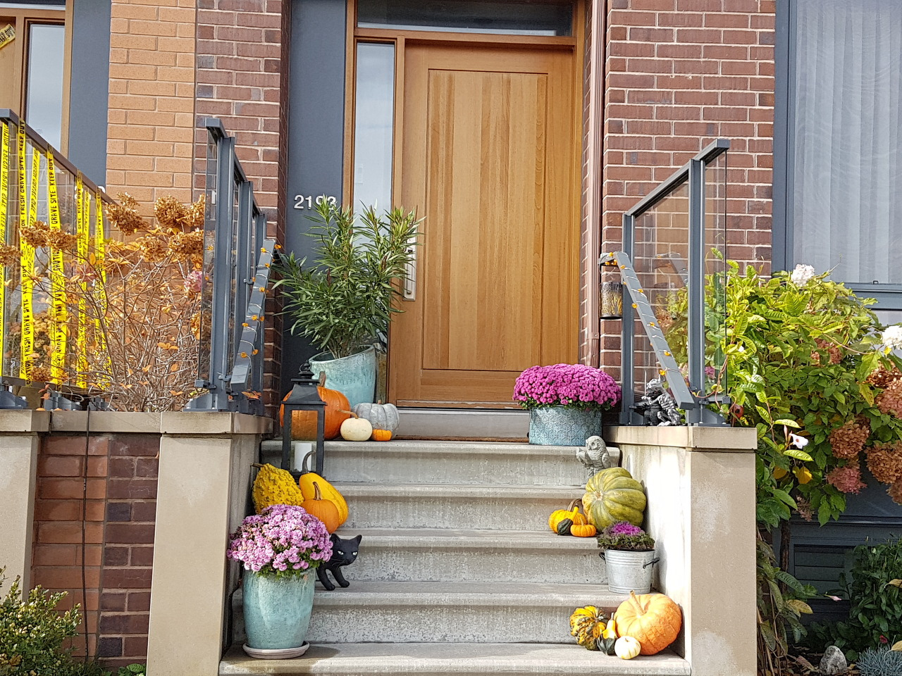 다운로드 (38).jpg