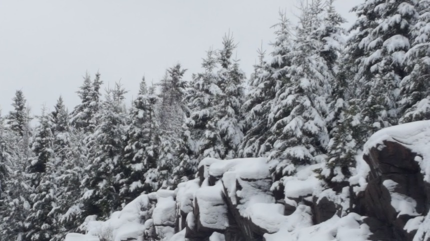 다운로드 (6).jpg