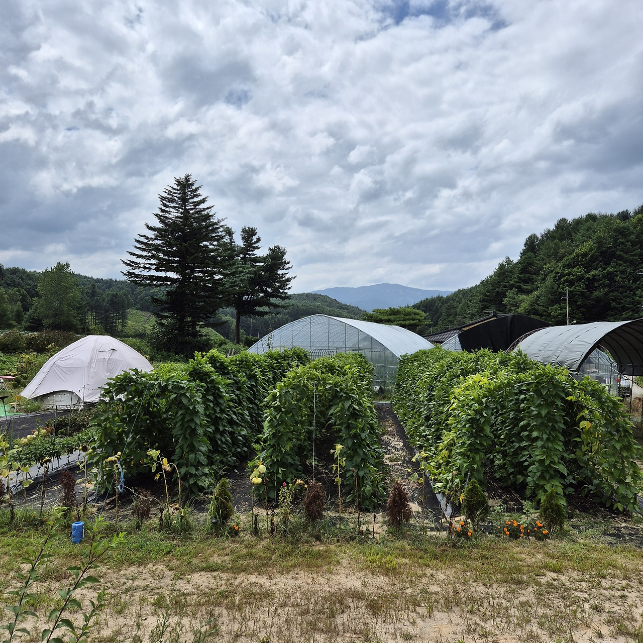 북토크 농장 (1).jpg