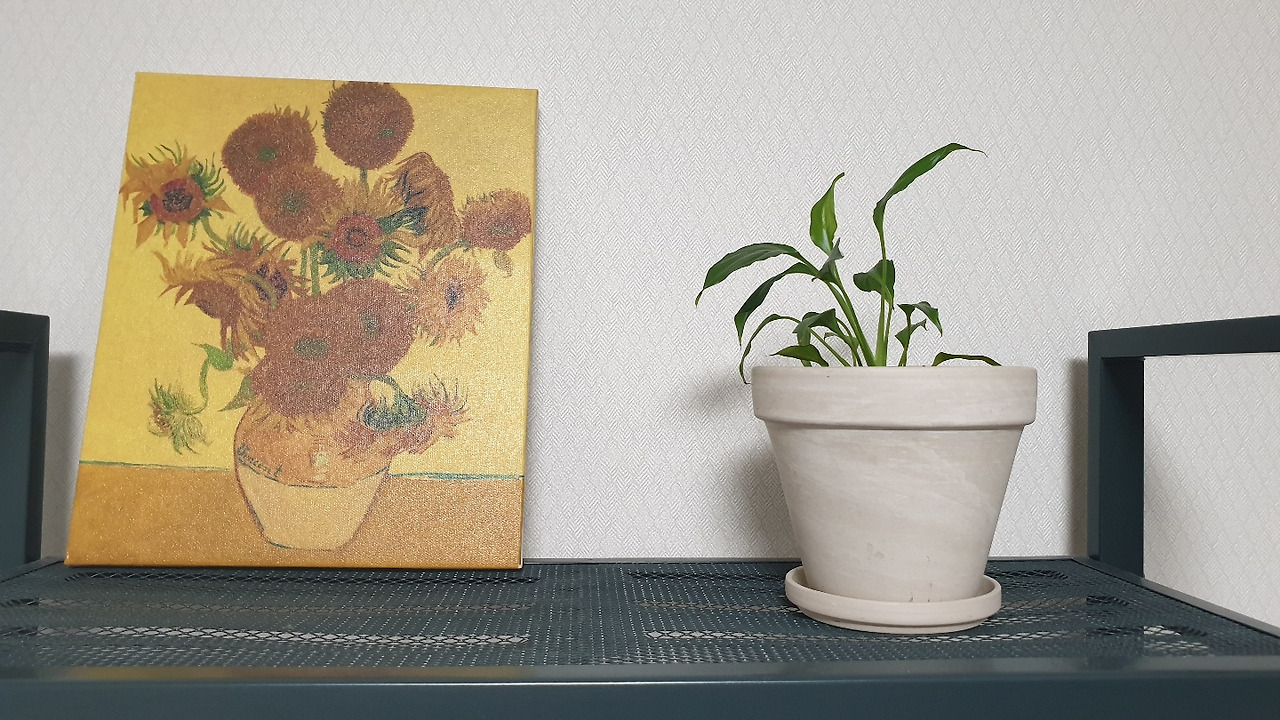 반려식물키우기 (3).jpg