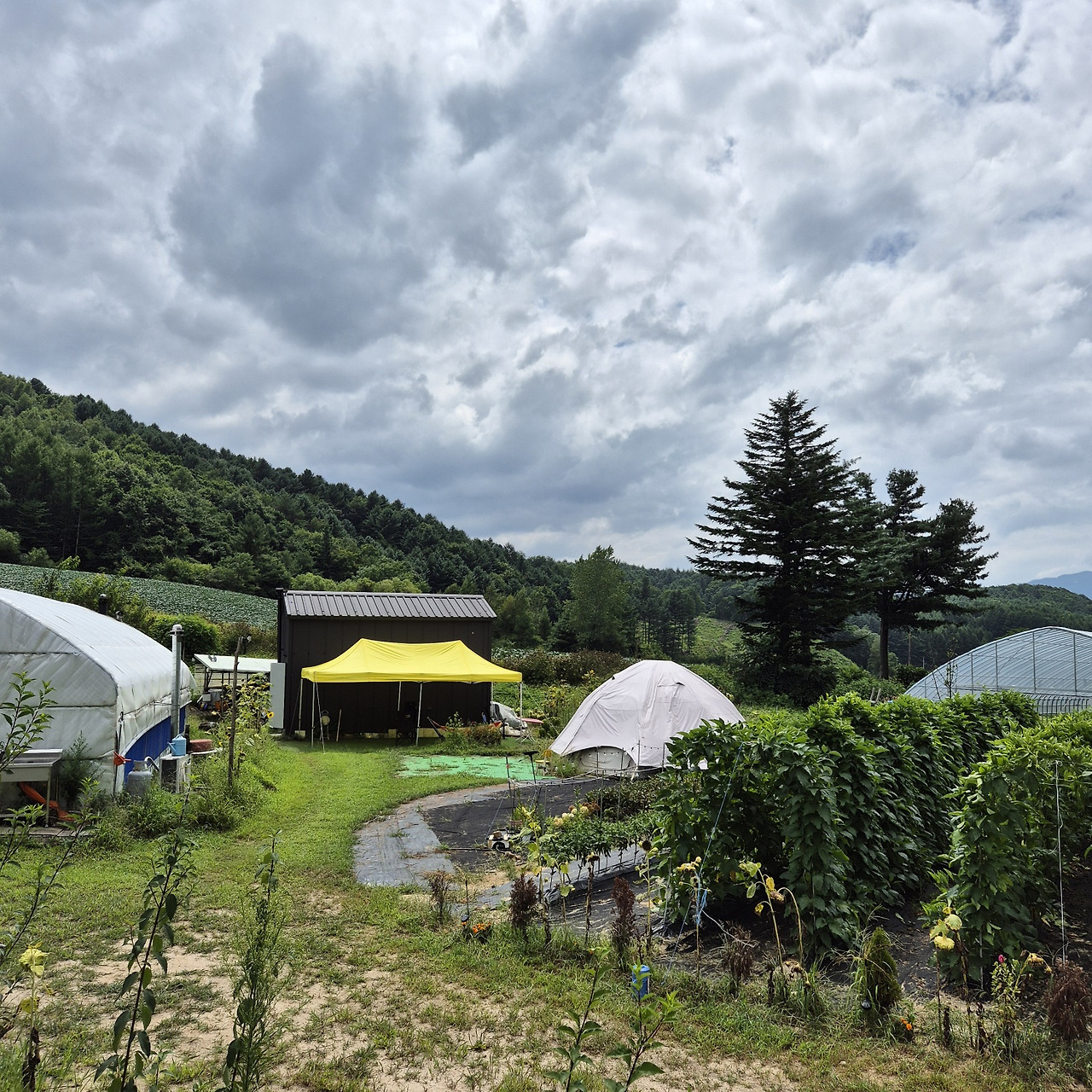 북토크 농장 (2).jpg