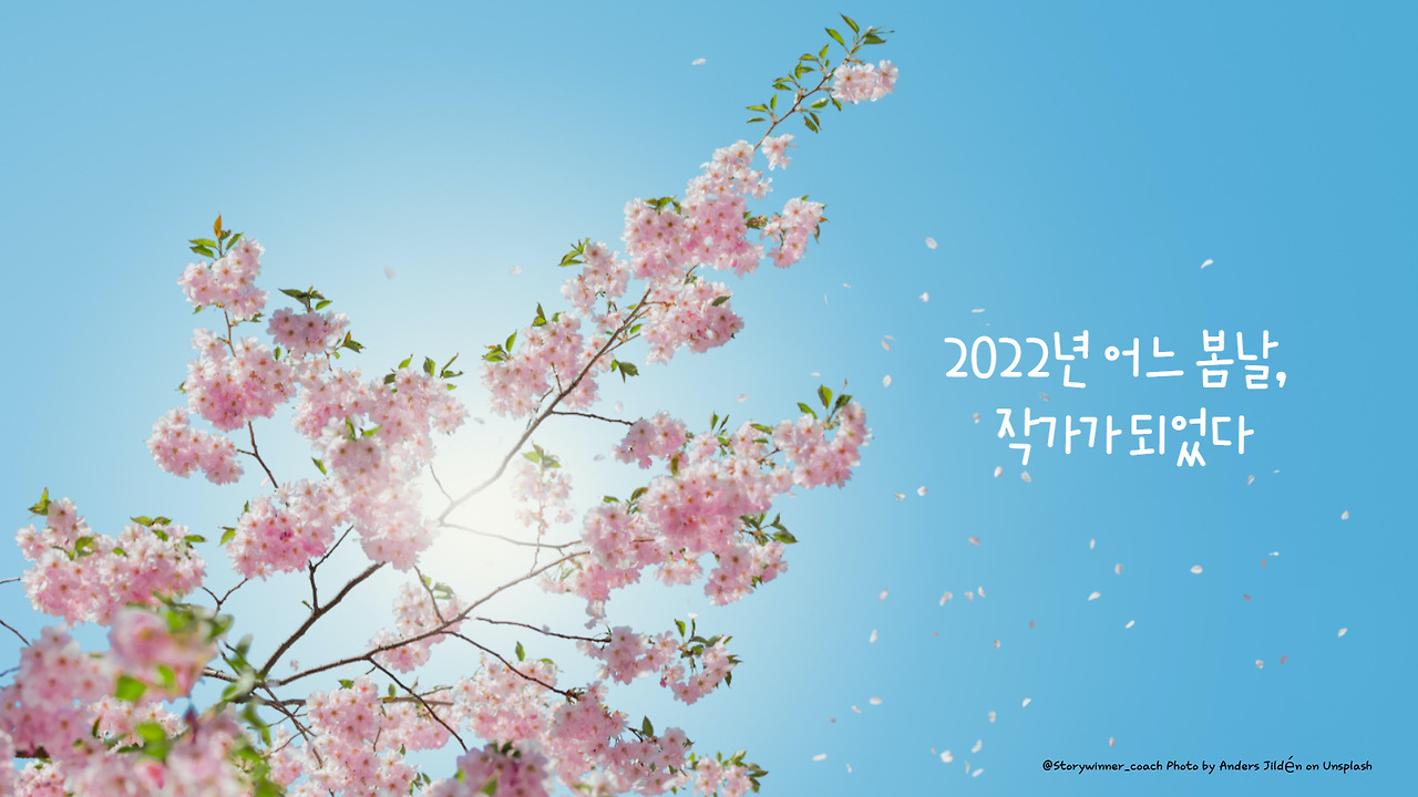 전자책 작가 과정.jpg