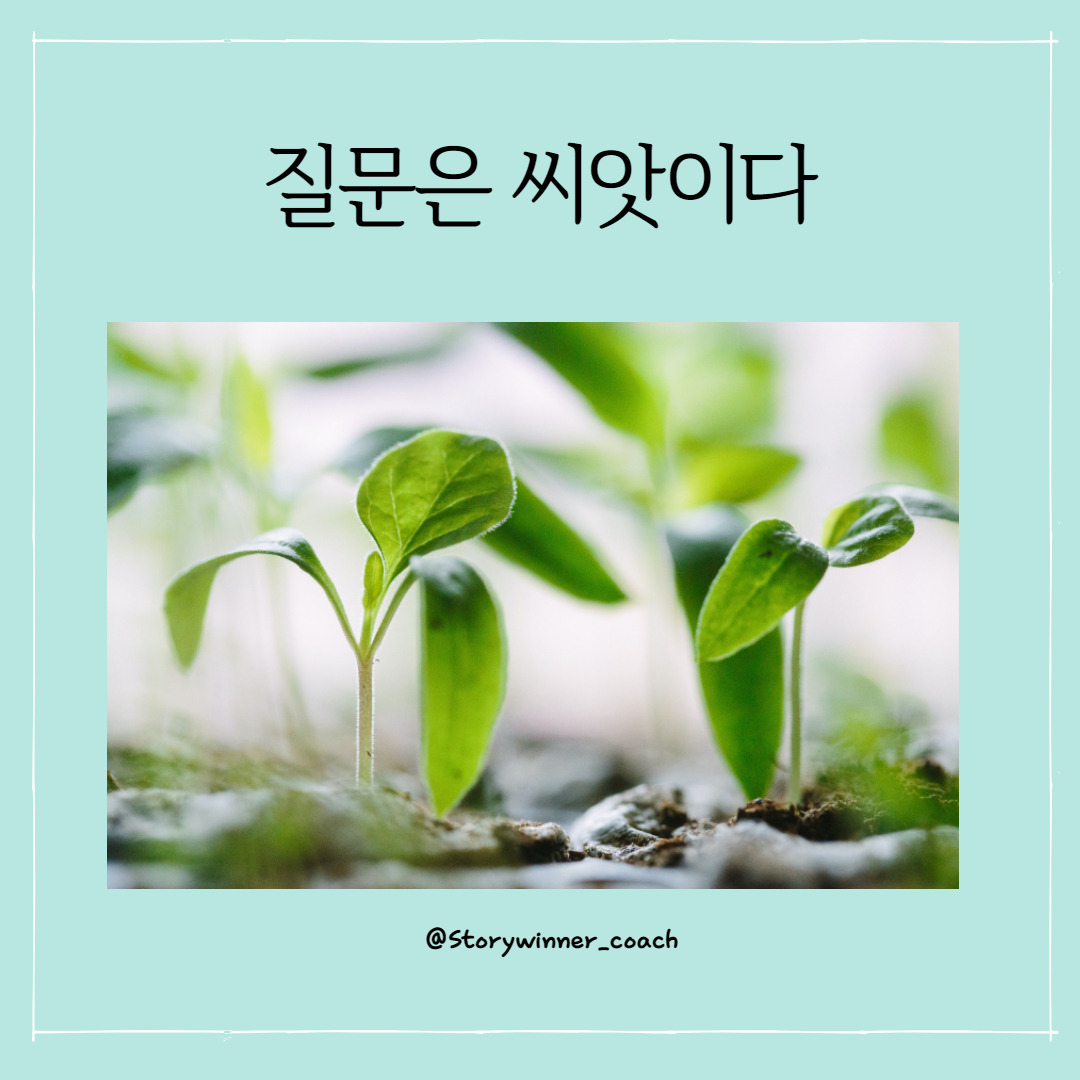 질문은 씨앗.jpg