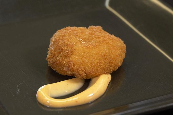 사진 씨넷 실험실배양.jpg