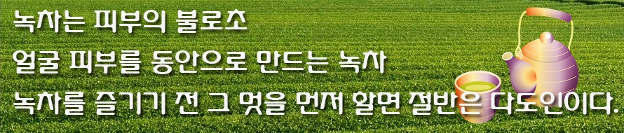 11 녹차 불로초.jpg