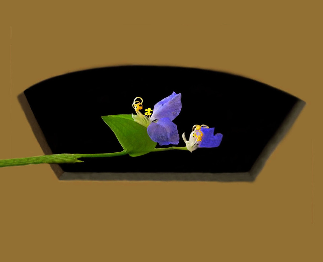 34-1벽난로와 달개비꽃.jpg